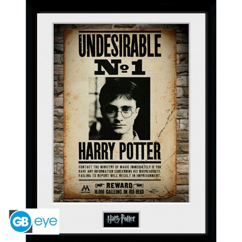 Tirage encadré Indésirable n°1 Harry Potter 30×40 – ABYstyle - Manga Story