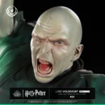 Lord Voldemort Ikigai - Harry Potter - Tsume – Image 2