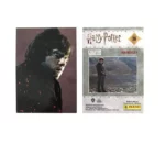 Display de 18 Boosters Harry Potter Evolution Trading Cards - Panini – Image 9